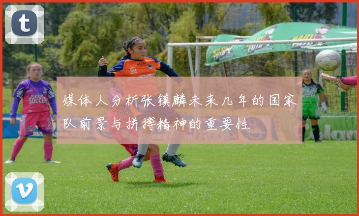 媒体人分析张镇麟未来几年的国家队前景与拼搏精神的重要性