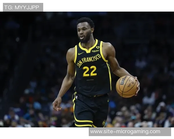 维金斯赞约维奇天赋出众能胜任多位置展现实力