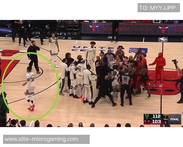 武切维奇幽默调侃字母哥暴扣背后原因引发热议